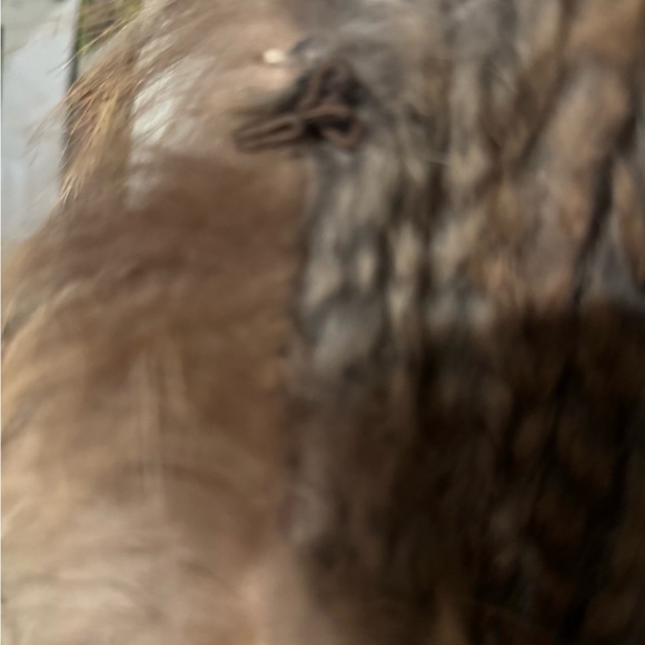 Retro Fur Vest in Brown and Tan - Picture 3 of 7